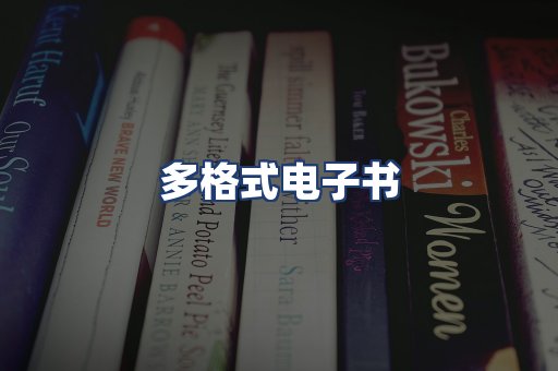 多格式电子书